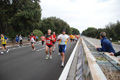 romostia_8638