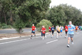 romostia_8718