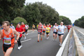 romostia_8751