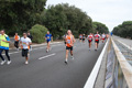romostia_8770