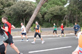 romostia_8782