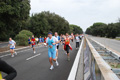 romostia_8986