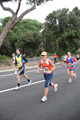 romostia_9097