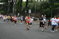 ferraresi_race_0493