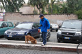 pat_0896