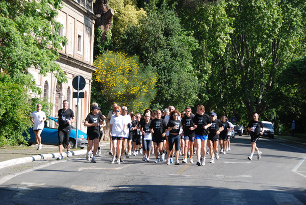 Passeggiata per NCL Charity Run (09/05/2010) ncl_4283