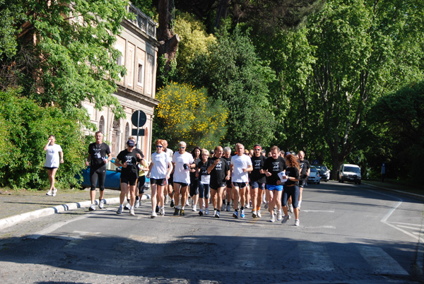 Passeggiata per NCL Charity Run (09/05/2010) ncl_4284