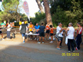 amostia_6281