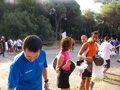 amostia_6286