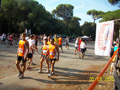 amostia_6304