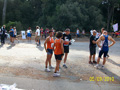 amostia_6321