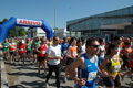 dominici_va_2132