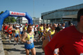 dominici_va_2153