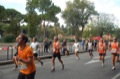 runforfood10_365