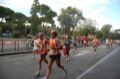 runforfood10_367