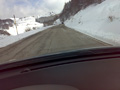 damore_10017