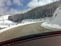 damore_10018
