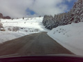 damore_10019