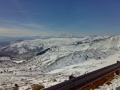 damore_10021