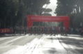 runforfood10_087