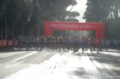 runforfood10_089