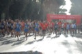 runforfood10_094