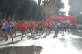 runforfood10_096