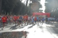 runforfood10_097