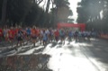 runforfood10_098
