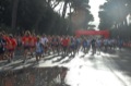 runforfood10_099