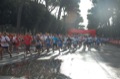 runforfood10_101