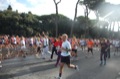 runforfood10_148