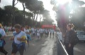runforfood10_196