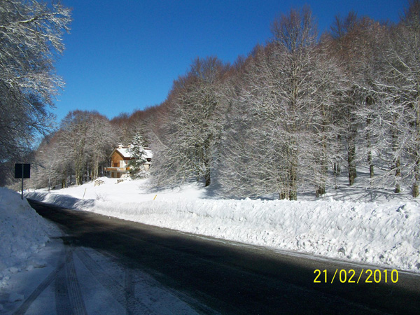La Ciaspeata (21/02/2010) ciani_ciasp_4025