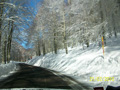 ciani_ciasp_4026
