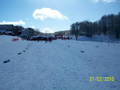ciani_ciasp_4040
