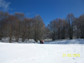 ciani_ciasp_4042