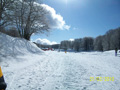 ciani_ciasp_4044
