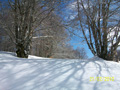 ciani_ciasp_4045