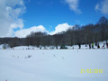 ciani_ciasp_4090