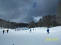 ciani_ciasp_4093