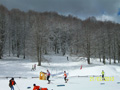 ciani_ciasp_4094