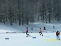 ciani_ciasp_4095
