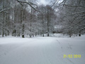 ciani_ciasp_4099