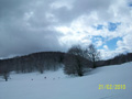 ciani_ciasp_4100