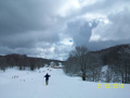 ciani_ciasp_4102