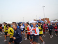 fium_ger_4384