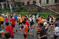 pino_0161