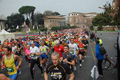 pino_0169