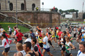 pino_0176